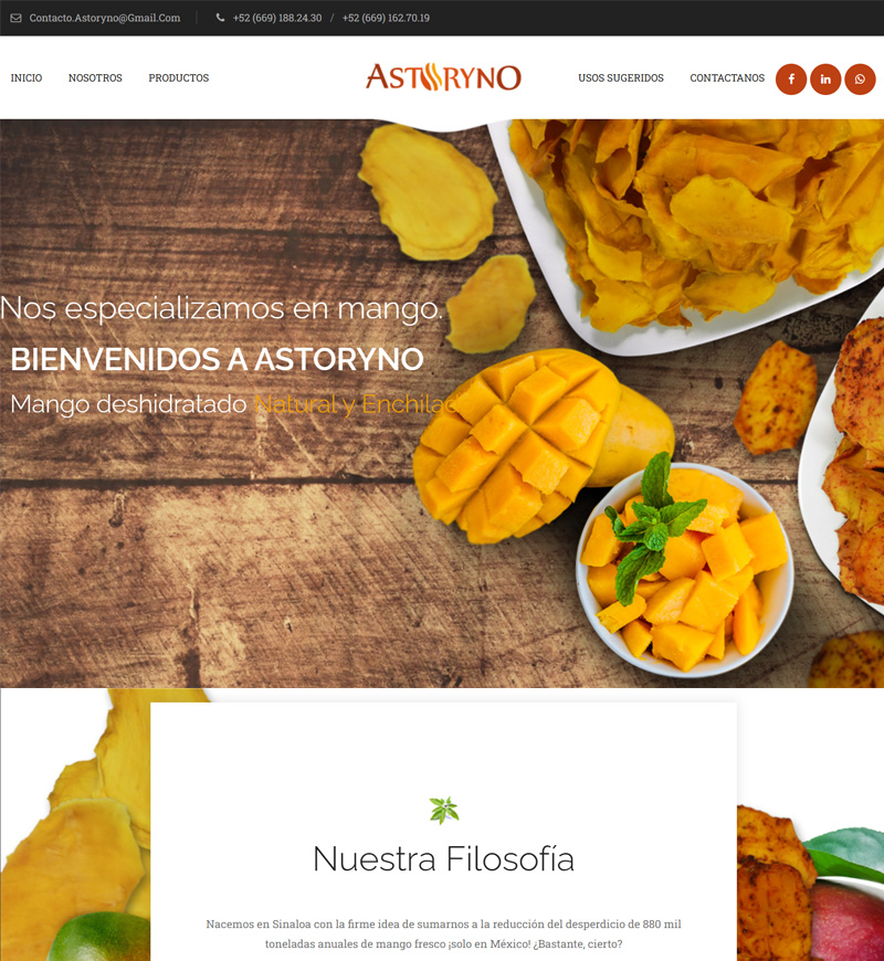 Desarrollo Web y Administración de Hosting Web