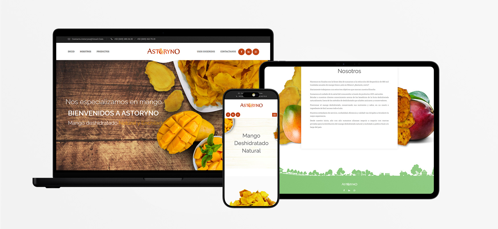 Desarrollo web para ASTORYNO empresa de mango deshidratado natural en Sinaloa