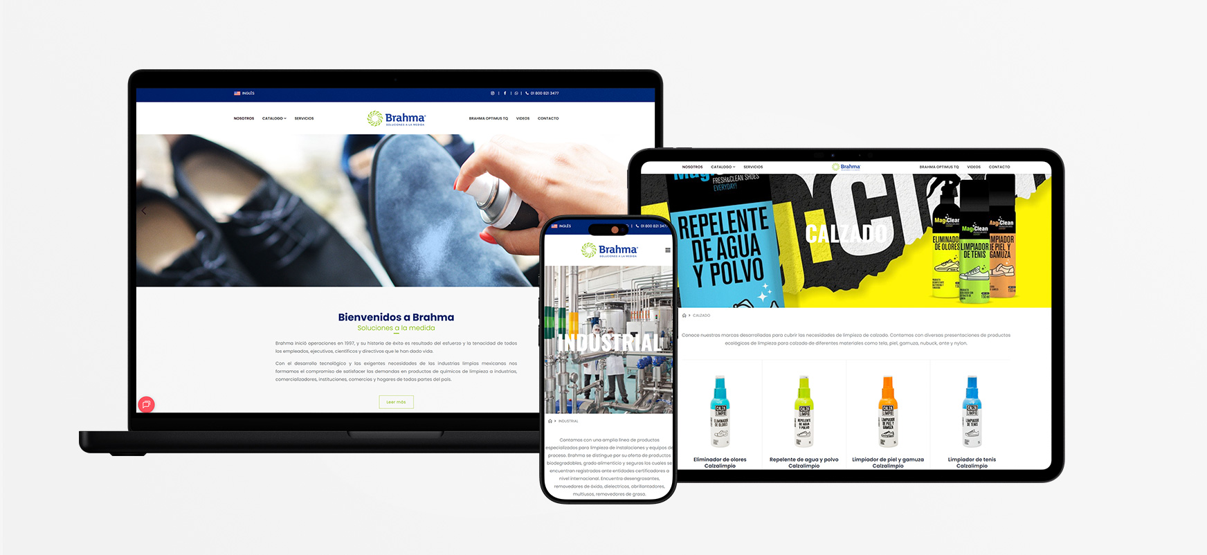 Desarrollo de sitio web corporativo de Grupo Brahma en Mazatlán