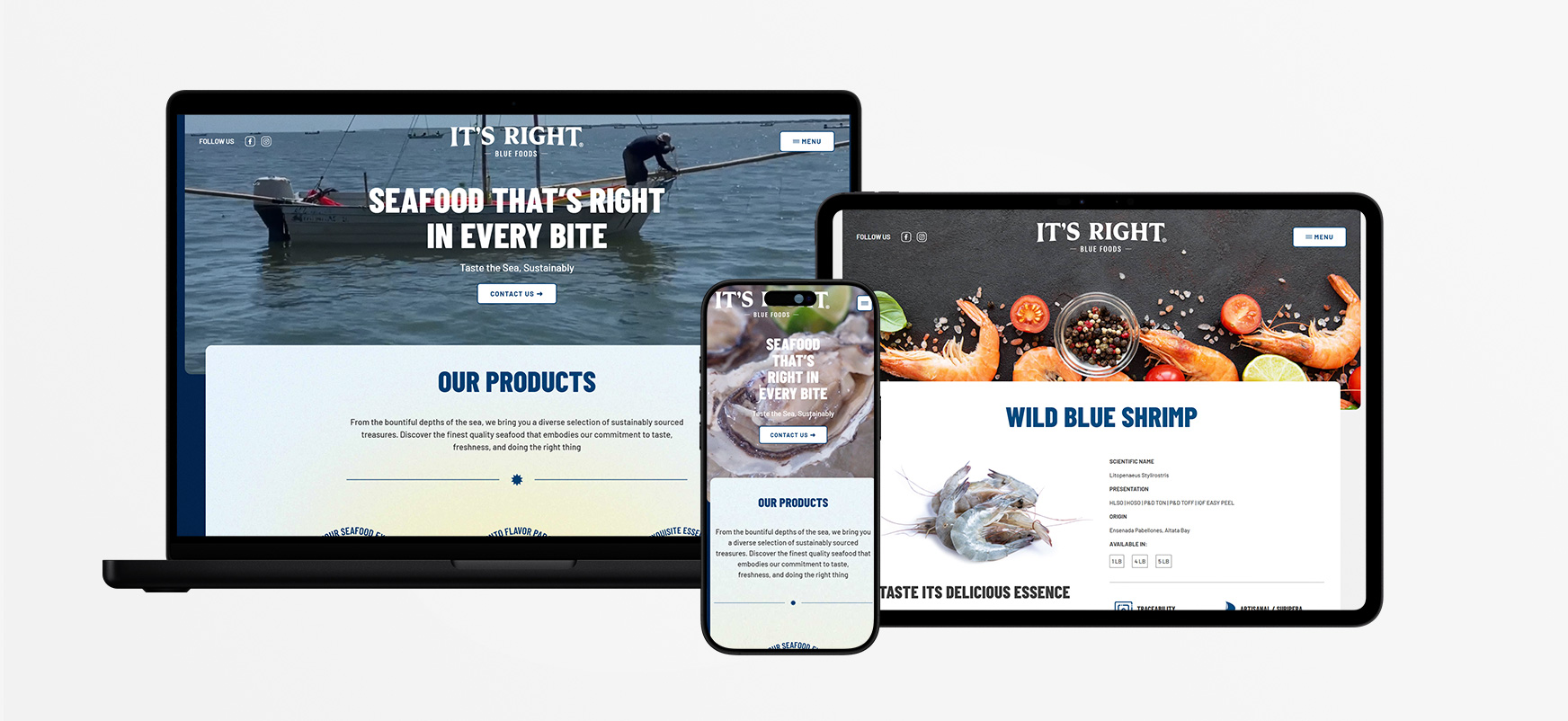 Desarrollo Web ITS Right