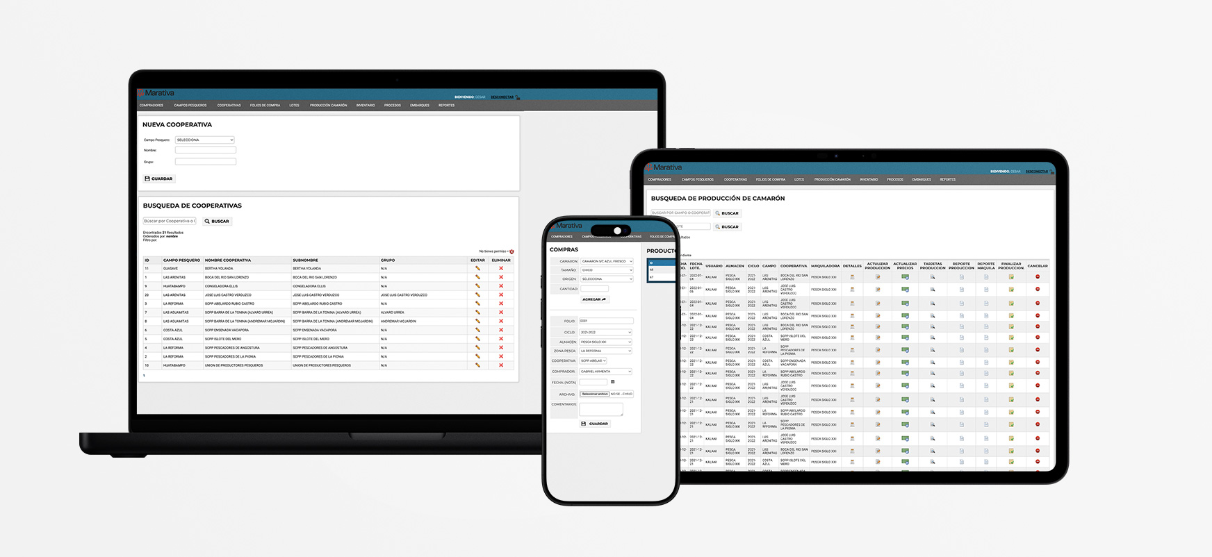 Sistema Web para trazabilidad de Marativa